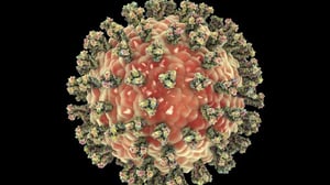 corona virus