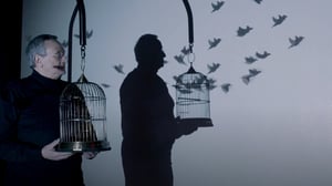 Digital-Aesthetics-video-Giacinto-Di-Pietrantonio