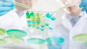 Ricercatori in laboratorio mentre manipolano provette con liquidi colorati verde e turchese, durante un esperimento scientifico.