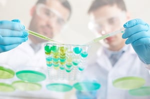 Due ricercatori in camice bianco e guanti blu che utilizzano pipette per trasferire liquidi verdi e turchesi in una piastra a pozzetti durante un esperimento di laboratorio.