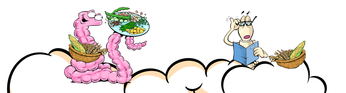 Dialogo cibo banner