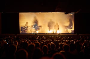 Nomadic_canto per la biodiversita (8)