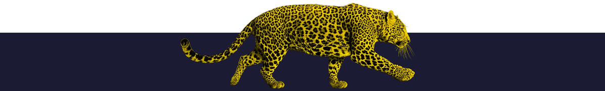 Locarno-Film-Festival-2026-nl3