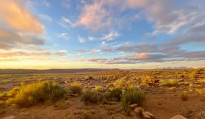 Tra le luci morbide del tramonto e l'infinito del cielo africano, il paesaggio si apre in tutta la sua vastità. I cespugli dorati si inchinano alla luce calda del sole che cala, mentre il deserto si veste di colori cangianti.