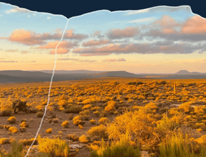 Golden desert landscape at sunset, with low bushes lit by warm light and distant mountains under a partly cloudy sky.
