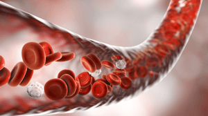 Blood cells made in the laboratory