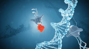 IBSA Foundation_Tiny biological robots 