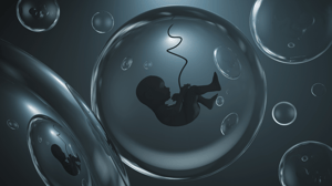 IBSA Foundation_Premature infants artificial placenta