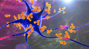 IBSA Foundation_autoimmune diseases