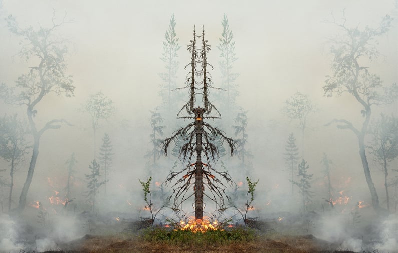 Fire with Fire