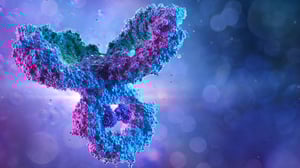 antibody