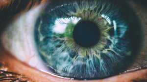 human-eye