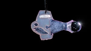 Bio-hybrid fish for heart