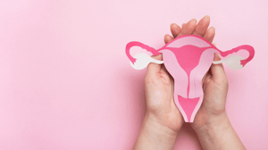 uterus transplant