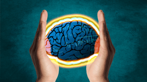 Brain between Hands