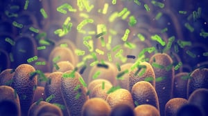 intestinal-bacteria