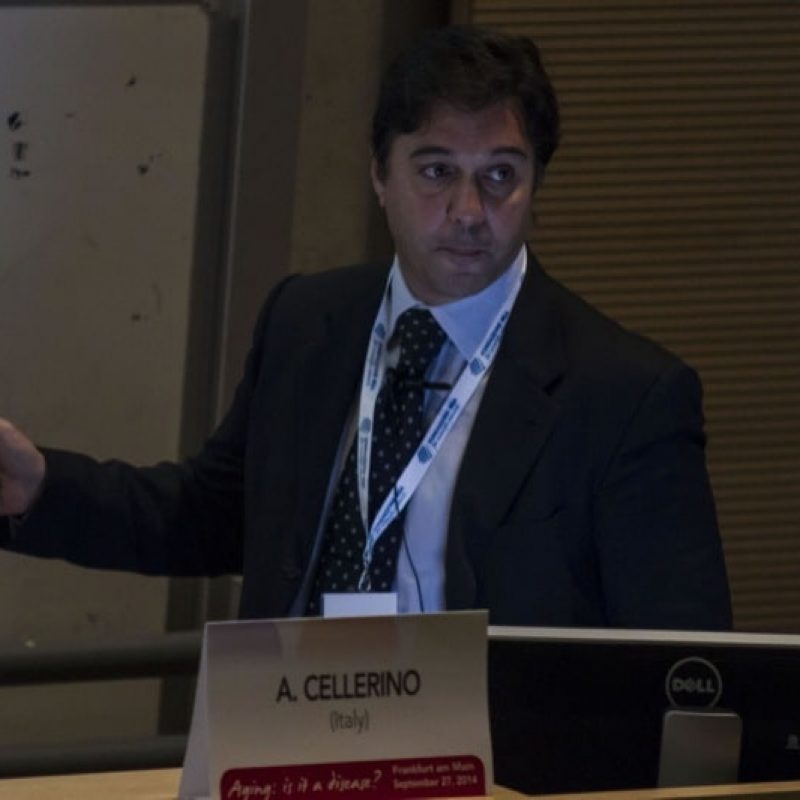 immagini forum ibsa aging