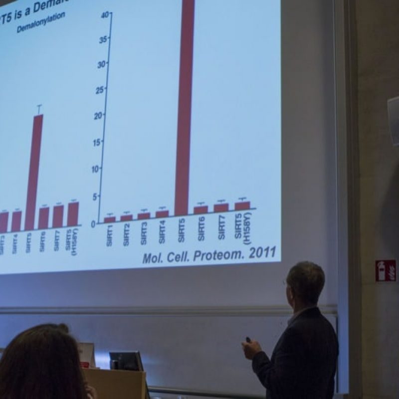 immagini forum ibsa aging