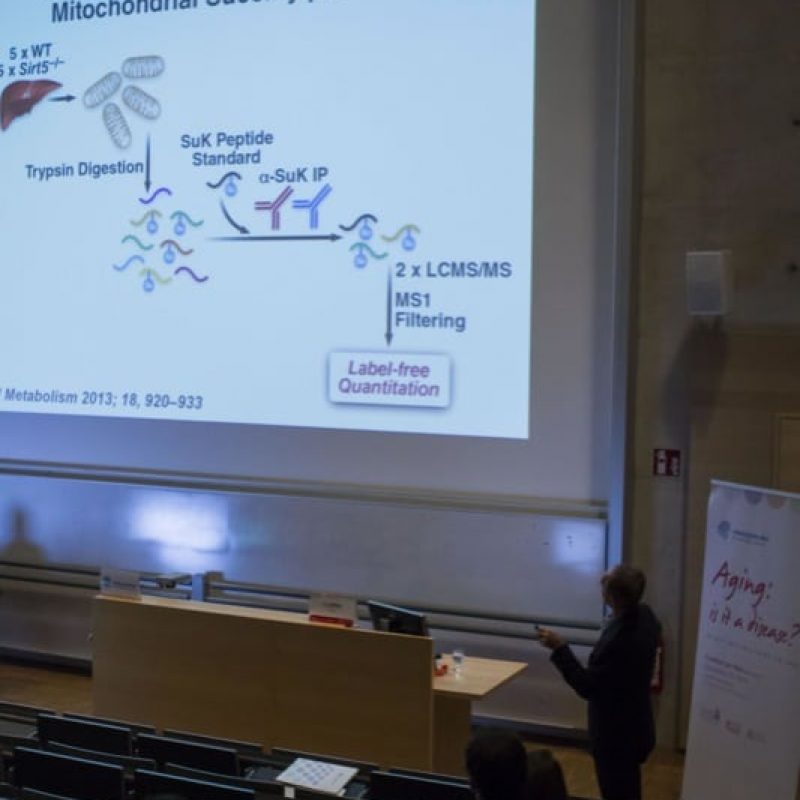immagini forum ibsa aging