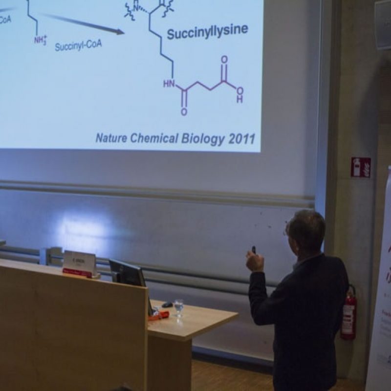 immagini forum ibsa aging
