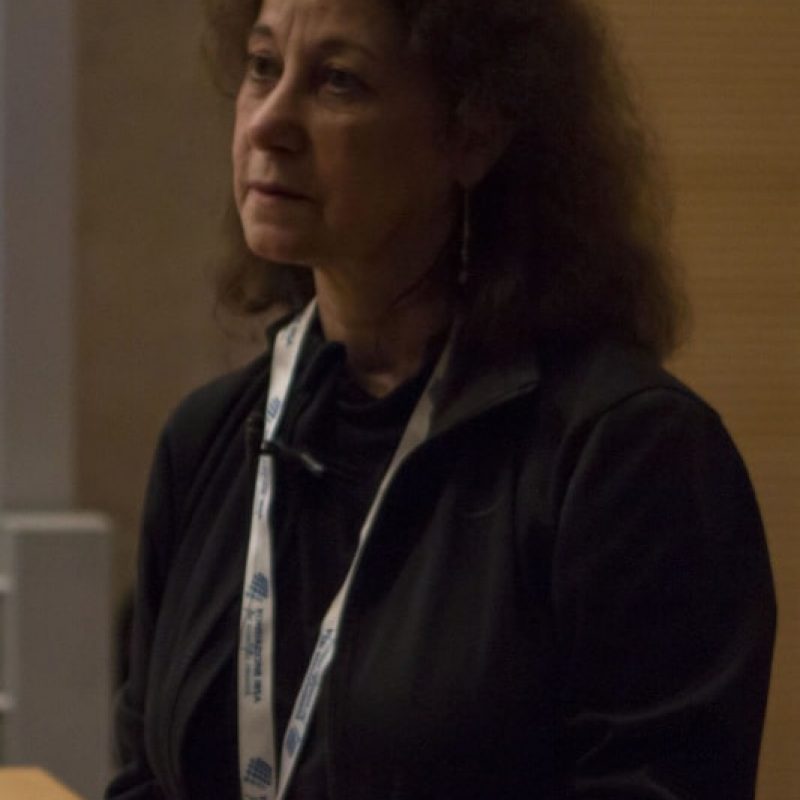 immagini forum ibsa aging