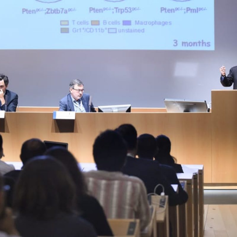 partecipanti e relatori forum ibsa immunologia oncologica
