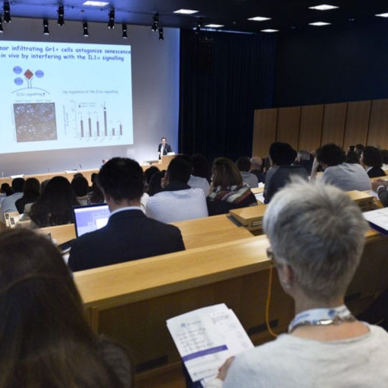 partecipanti e relatori forum ibsa immunologia oncologica