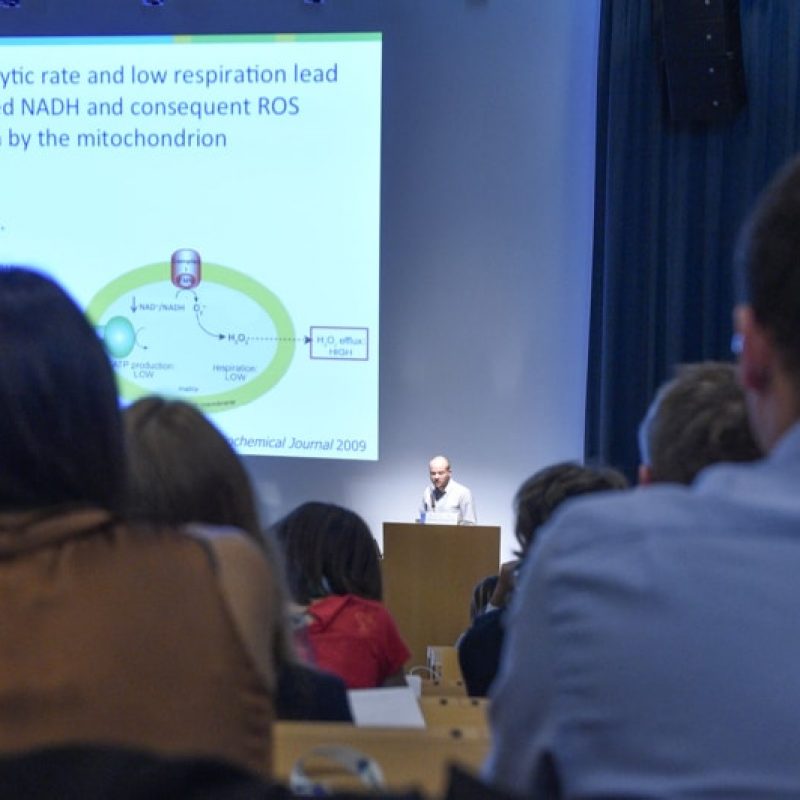 partecipanti e relatori forum ibsa immunologia oncologica