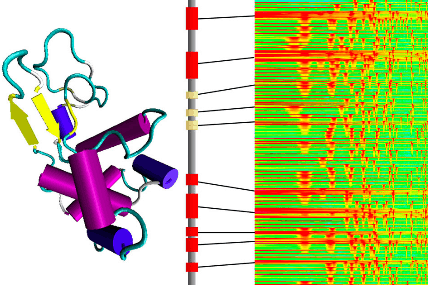 Music may provide an unexpected help in the deciphering of proteins