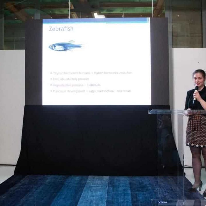 premiazione ibsa fellowship 2016