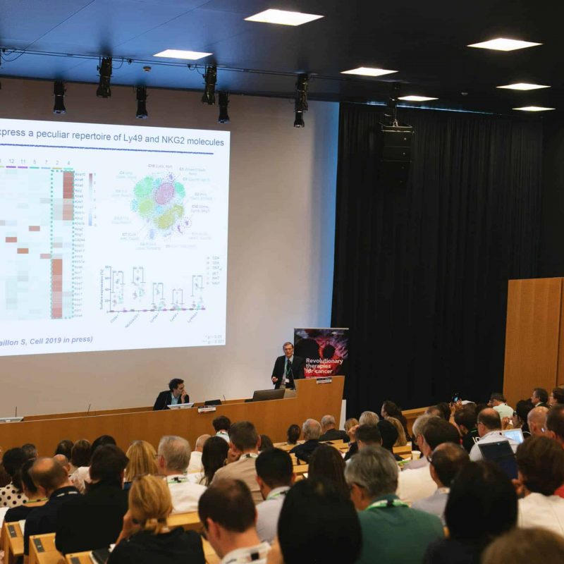 Ibsa foundation evento: rivoluzionaria terapia per il cancro.