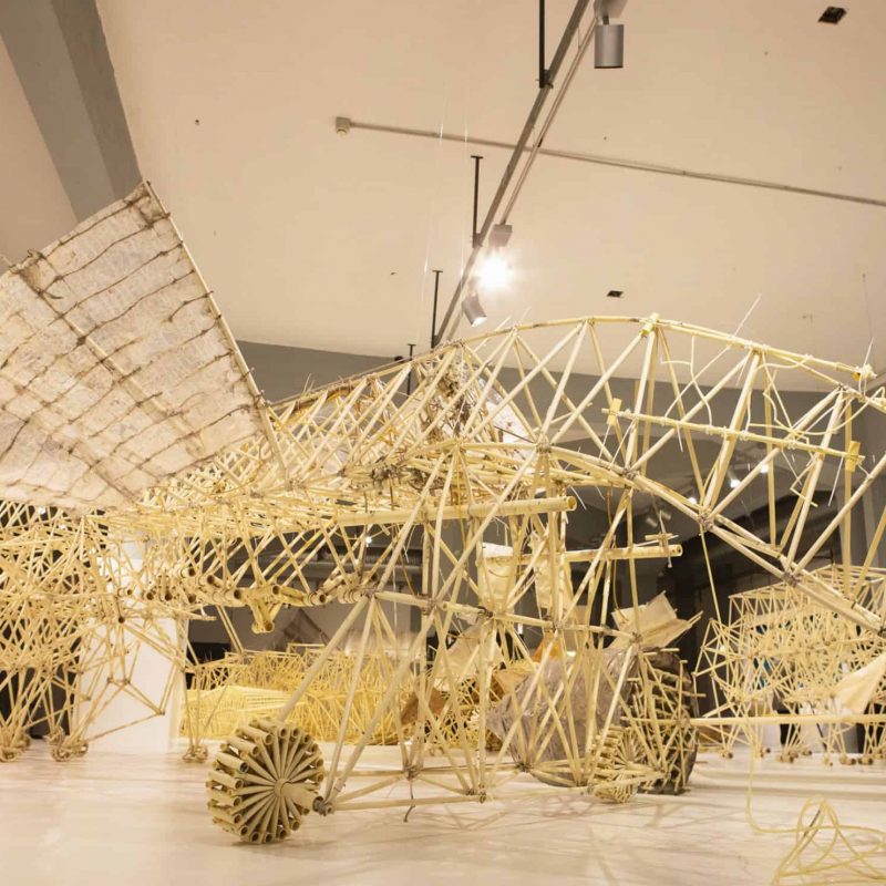 Foto theo jansen museo paolo soave