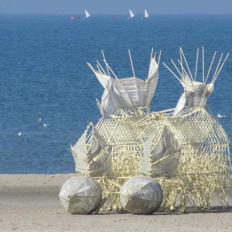 strandbeest_animaris