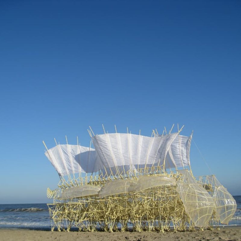 strandbeest_animaris
