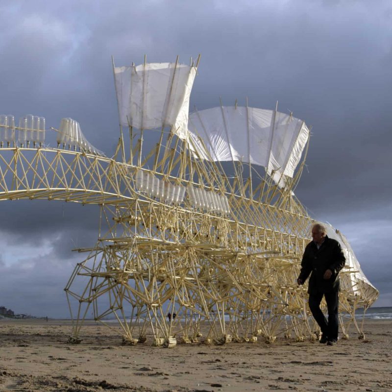 strandbeest_animaris