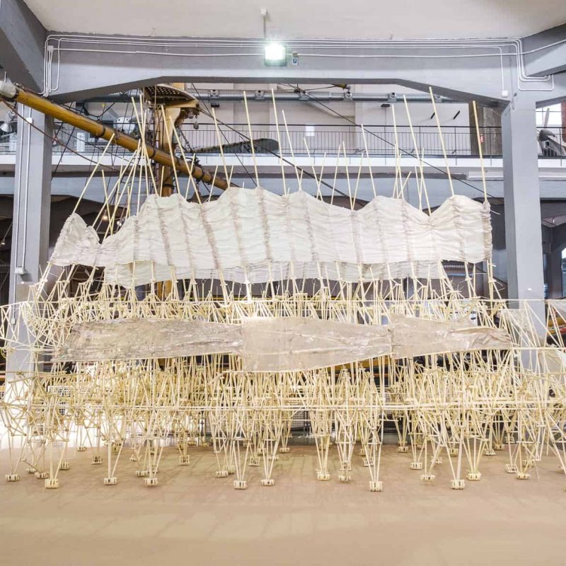 Foto theo jansen museo paolo soave
