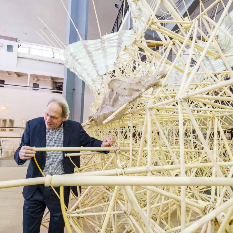 Foto theo jansen museo paolo soave