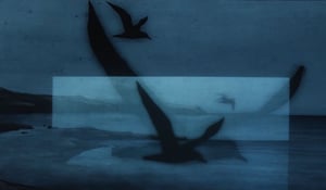 frame-gabbiani-nomadic