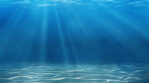 peaceful sea