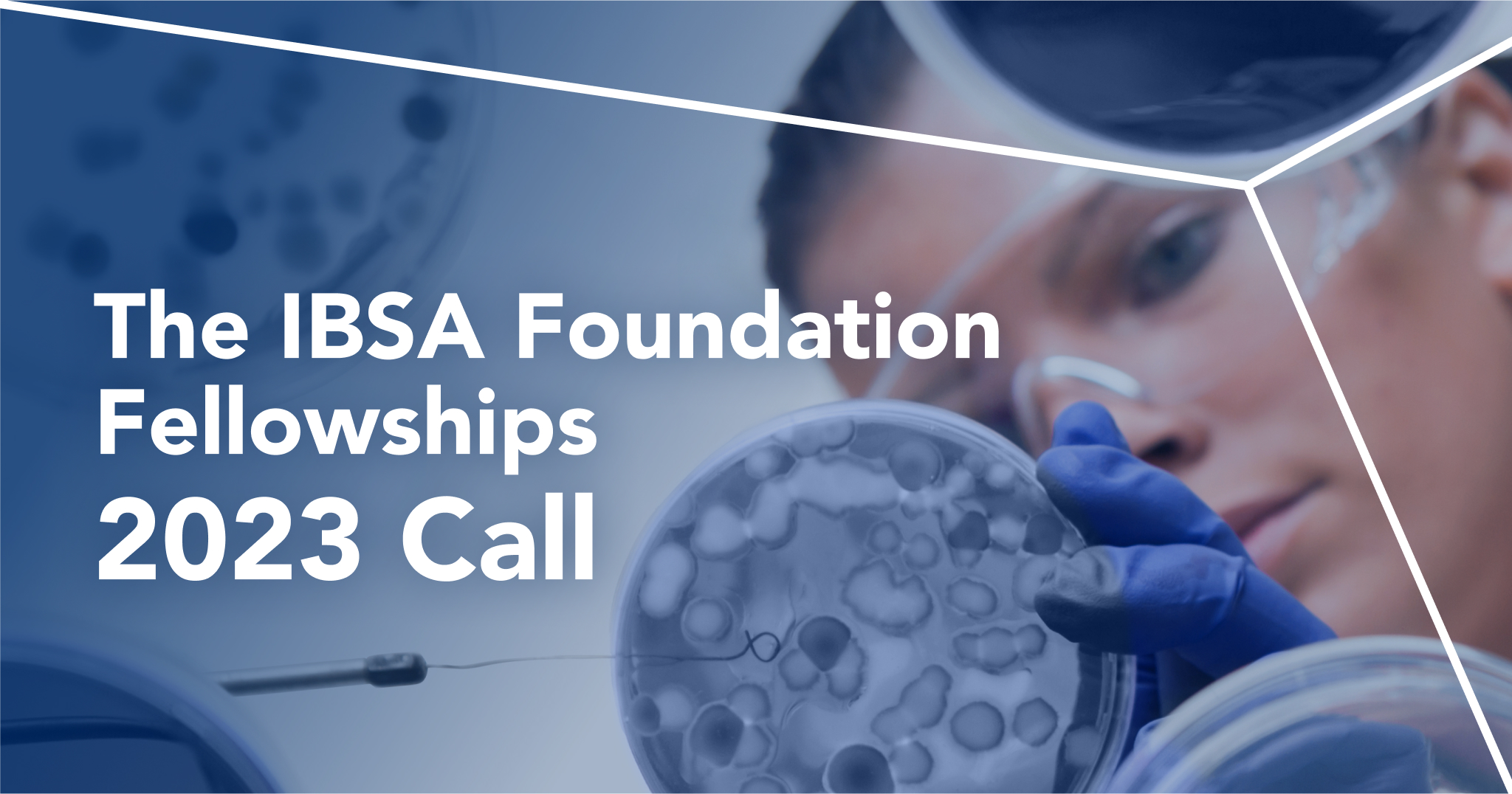 IBSA Foundation Fellowship 2023 Call IBSA Foundation Fellowship 2023 Call