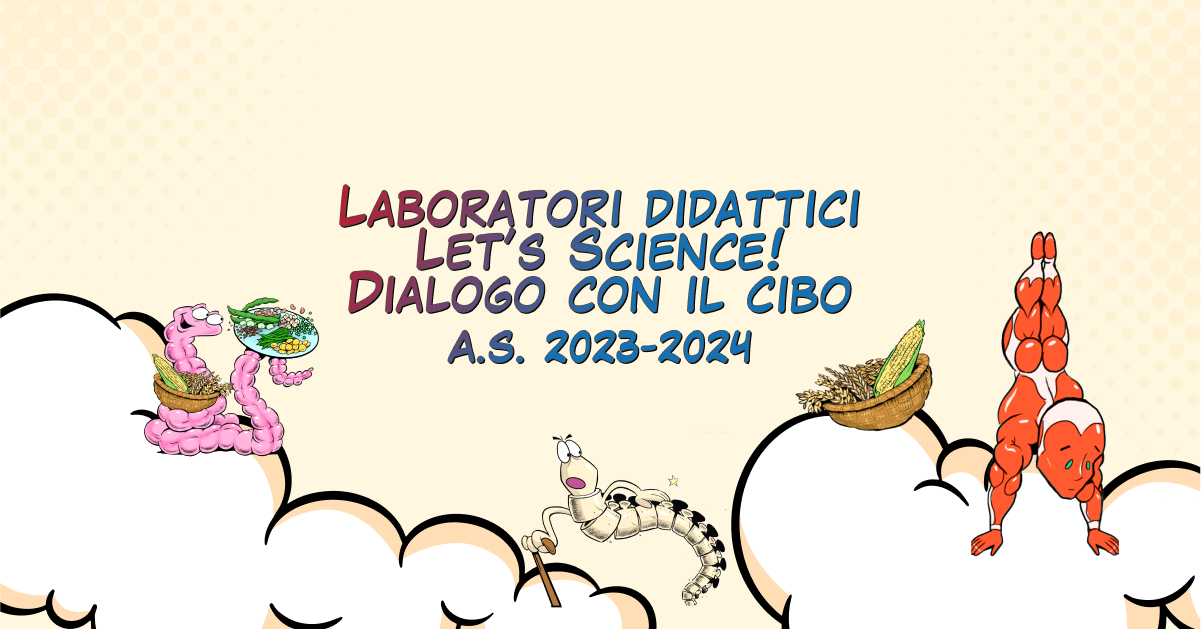 Laboratorio 