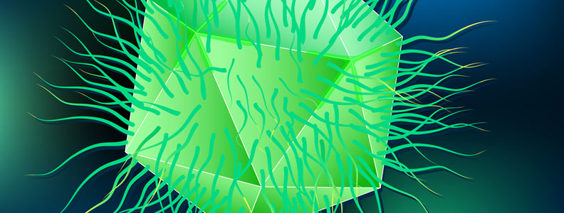 Discovery of the “mechanisms” of enigmatic giant viruses | IBSA Foundation