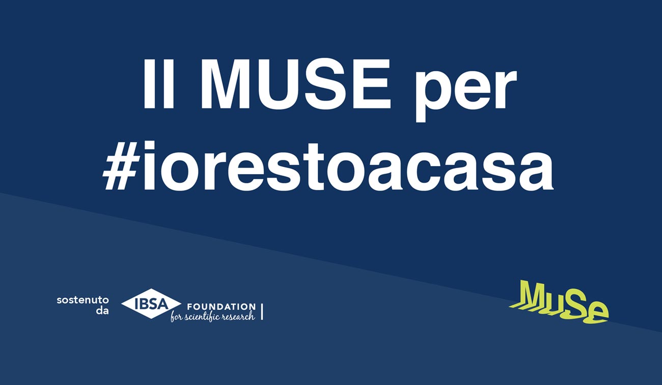 Fondazione IBSA con il MUSE per #iorestoacasa