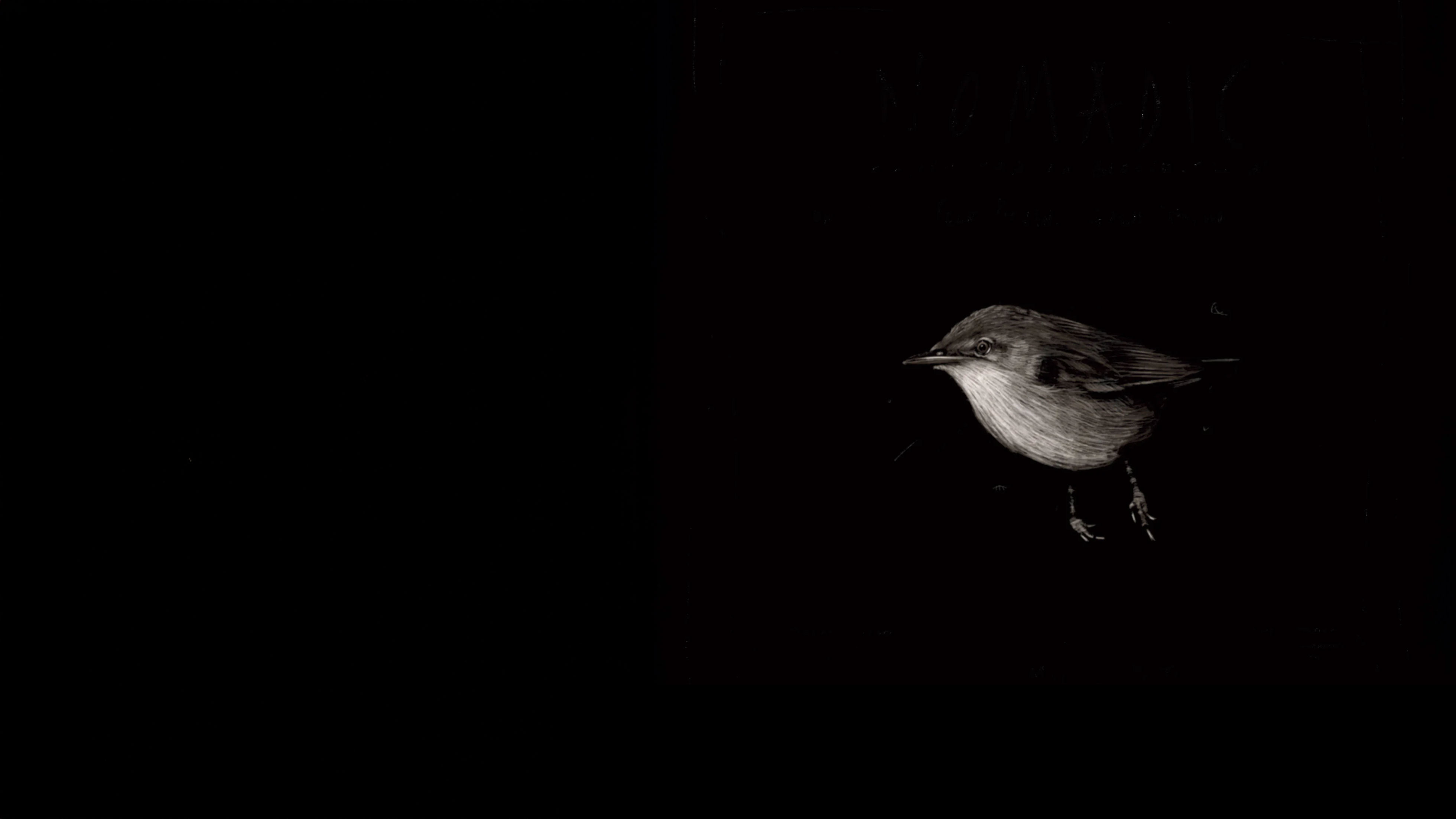 Nomadic - Song for Biodiversity 